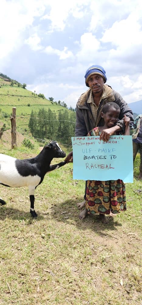 Schafe und Ziegen in Uganda